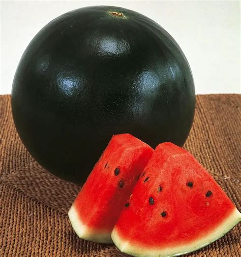 ebony melons|How to Grow and Care for Black Diamond Watermelons .